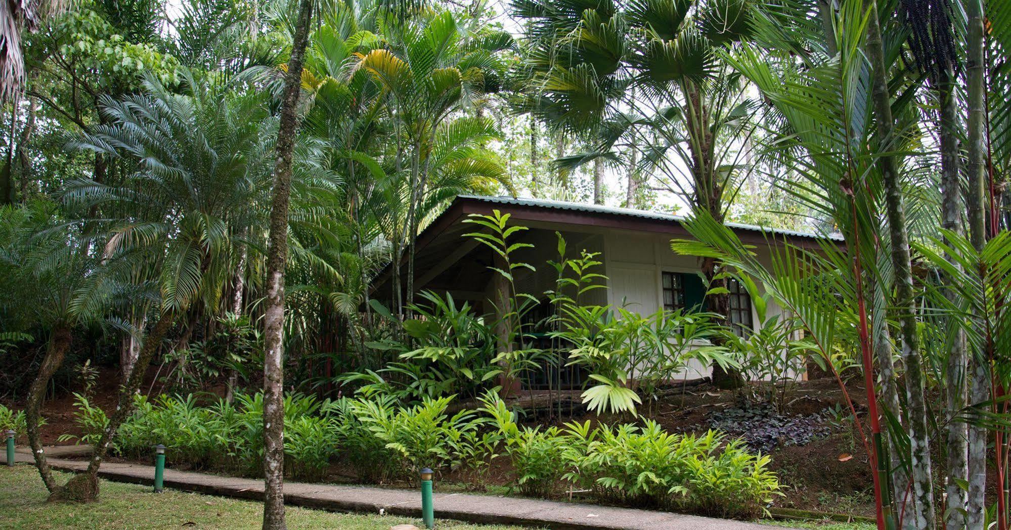 Hotel Villas Gaia Uvita Exterior photo